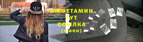 гидра Арсеньев