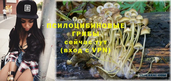 тгк Аркадак
