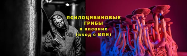 шишки Армянск