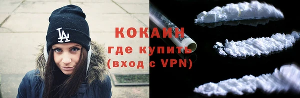 шишки Армянск