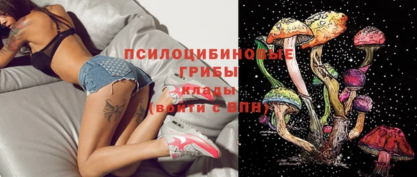 тгк Аркадак