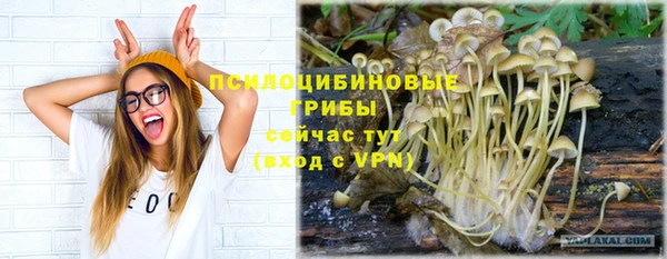 тгк Аркадак
