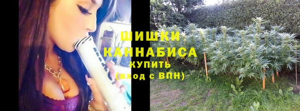 гидра Арсеньев