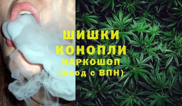 шишки Армянск