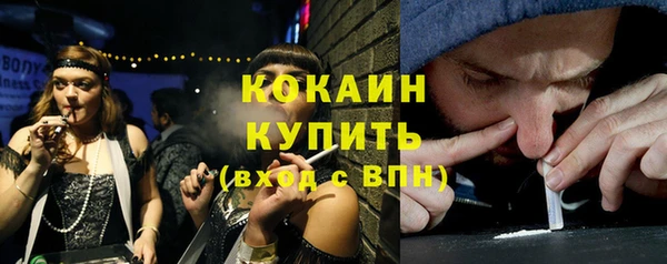 шишки Армянск