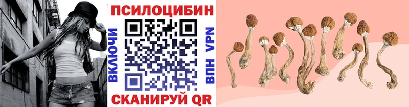 Галлюциногенные грибы ЛСД  Ковылкино 